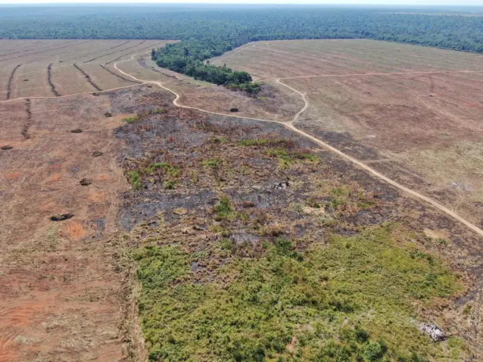 Fazenda em Mato Grosso é multada em R$ 2 milhões por desmate e uso do fogo Fazenda em Mato Grosso é multada em R$ 2 milhões por desmate e uso do fogo