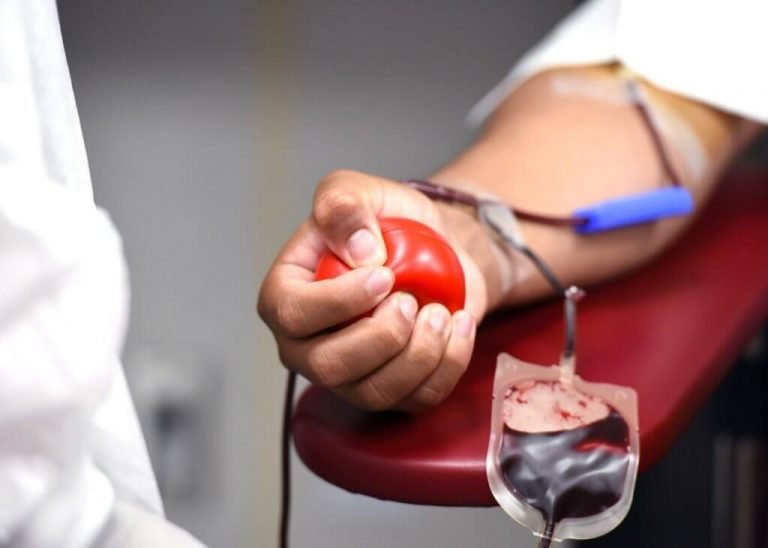 Especialista explica que um doador de sangue pode ajudar até quatro pessoas Especialista explica que um doador de sangue pode ajudar até quatro pessoas