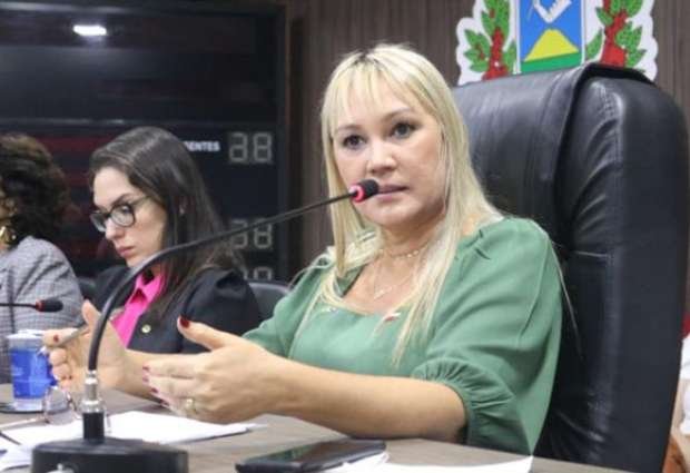 Lei que cria programa de arrecadação e doação de alimento não perecíveis é sancionado Lei que cria programa de arrecadação e doação de alimento não perecíveis é sancionado