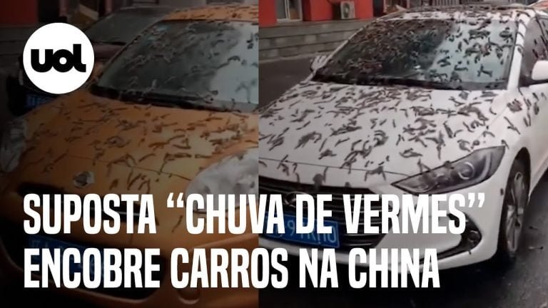‘Chuva de vermes’: Fenômeno na China encobre carros e gera teorias nas redes sociais ‘Chuva de vermes’: Fenômeno na China encobre carros e gera teorias nas redes sociais