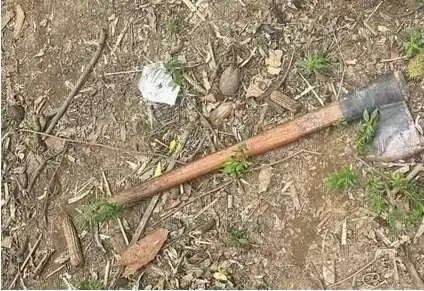 Mãe é presa após matar o filho recém-nascido a golpes de machado