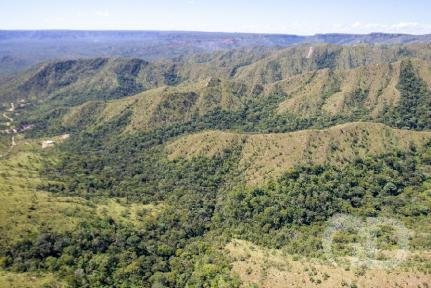 ÁREA DE PRESERVAÇÃO ‘Criador do baguncinha’ é investigado por dano ambiental com quiosque na Salgadeira ÁREA DE PRESERVAÇÃO ‘Criador do baguncinha’ é investigado por dano ambiental com quiosque na Salgadeira