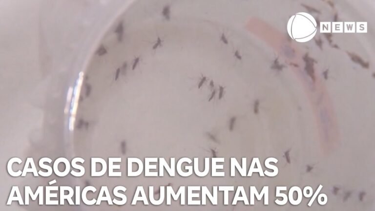 Casos de dengue aumentam em mais de 50% nas Américas