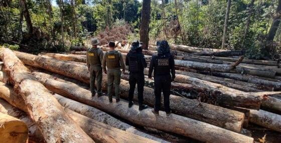 Servidores da Sema viram réus por crimes investigados na Operação Jurupari Servidores da Sema viram réus por crimes investigados na Operação Jurupari