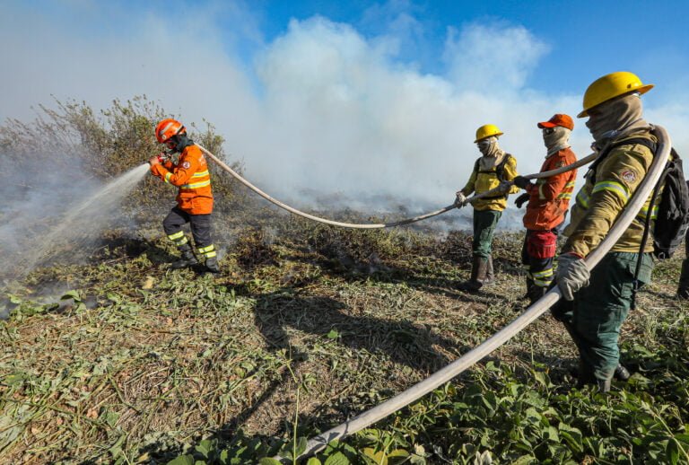 Corpo de Bombeiros combate 44 incêndios florestais nesta quinta-feira (05) Corpo de Bombeiros combate 44 incêndios florestais nesta quinta-feira (05)