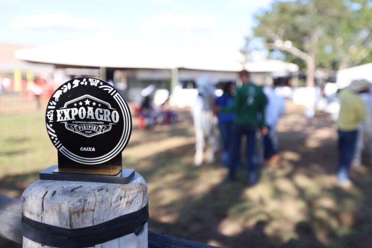 CAIXA participa da 6ª edição da Expoagro em Piripiri (PI)
