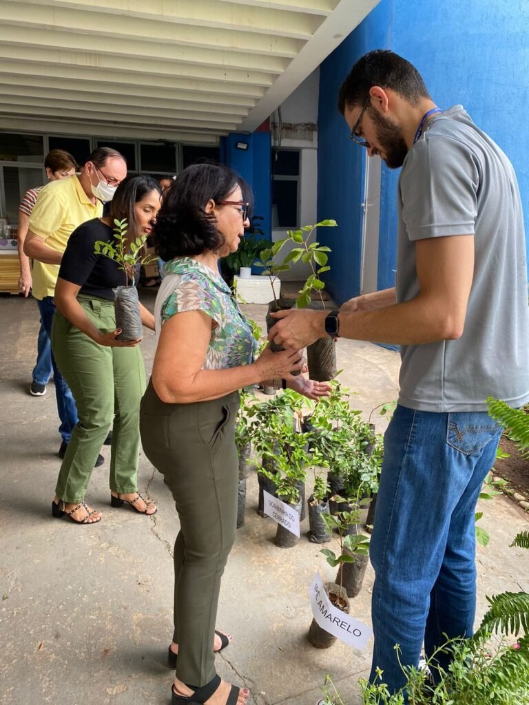 Mudas serão distribuídas gratuitamente em Cuiabá no Dia da Árvore