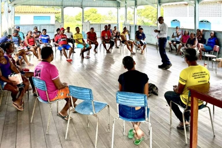 Semas estimula recomposição florestal produtiva em territórios quilombolas do Baixo Amazonas