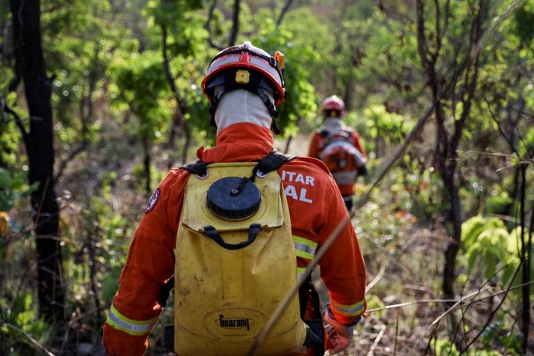 Bombeiros de MT combatem 23 incêndios florestais nesta terça-feira (01) Bombeiros de MT combatem 23 incêndios florestais nesta terça-feira (01)